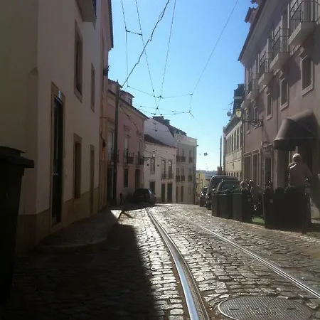 Almamater Appartamento